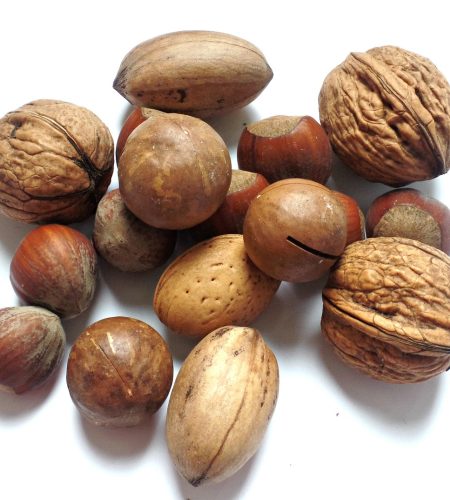 nut, walnut, brazil nut-1569252.jpg